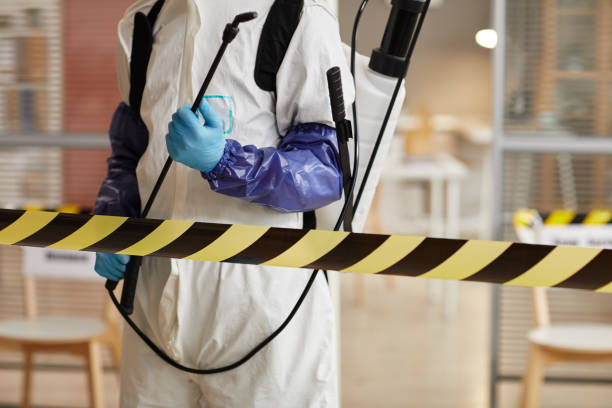 Professional Sewage Cleanup technician working in Verona, OH