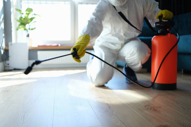 Trusted Sewage Cleanup service in Verona, OH - Four Month Blood Cleanse